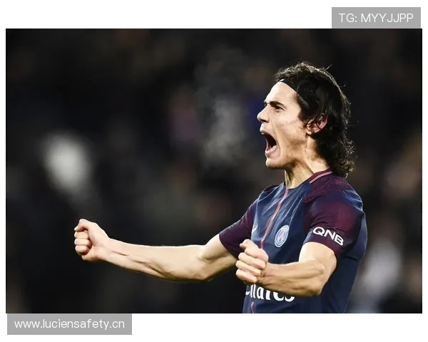 卡瓦尼与伊布在禁区触球频率下形成聚焦与分散趋势